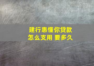 建行惠懂你贷款怎么支用 要多久